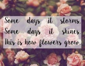 192c2923168b665b528cf9d9692e8e61